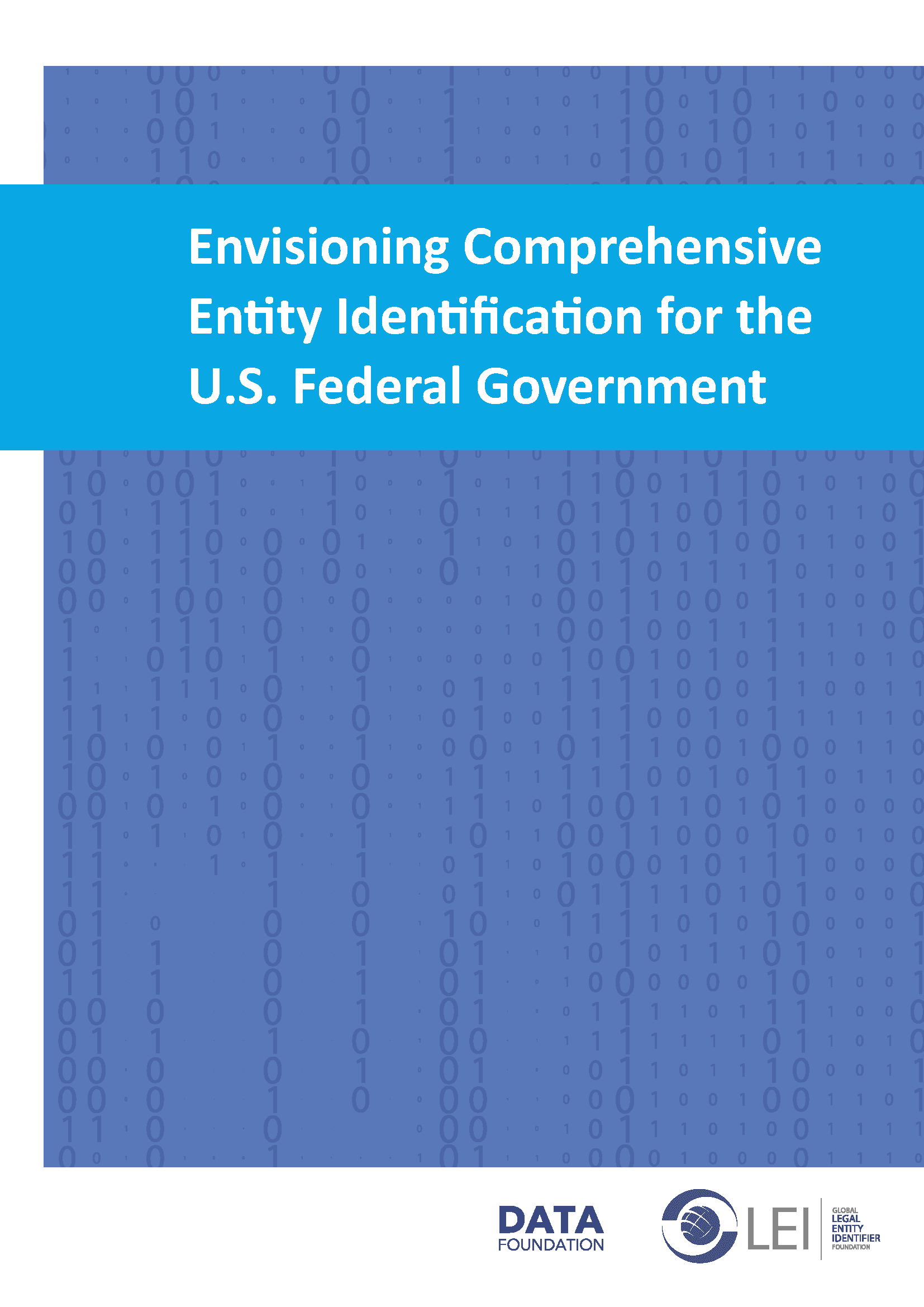 Envisioning Comprehensive Entity Identification for the U.S. Federal Government page 1